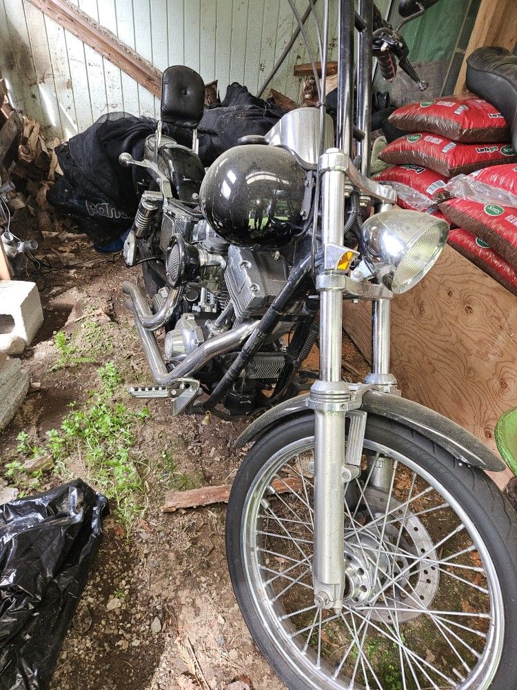 Harly For Sale