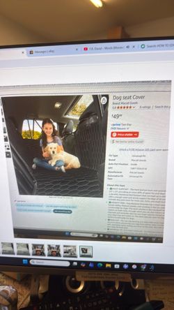 Dog seat cover