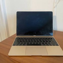 12 In MacBook Pro 
