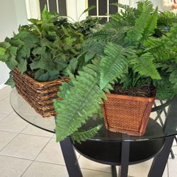 12 Artificial Plants All For 50