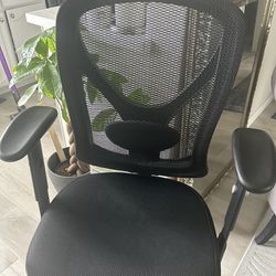 Staples Carder Computer Chair
