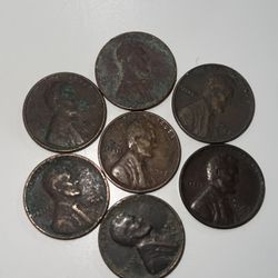 Wheat Pennies (7 pieces)