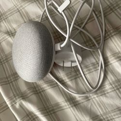 Google Home Mini Speaker