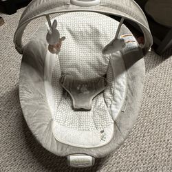 Ingenuity Baby Bouncer