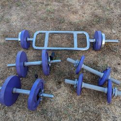Weider Dumbbells with Barbell Set and Weights, Adjustable Free Weights