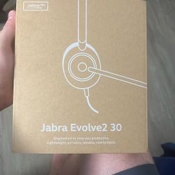 jabra evolve2 30 Headset/Microphone