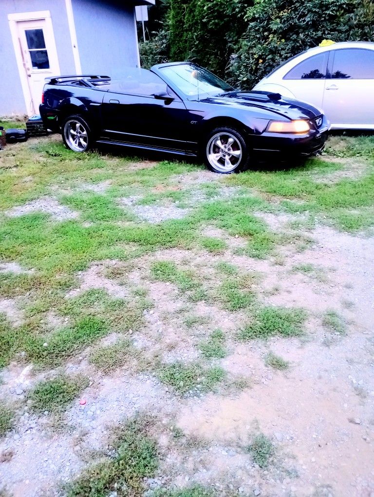 2001 Ford Mustang