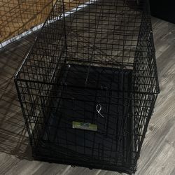 Large Folding Metal Dog Crate w/ Tray – Clean & Sturdy