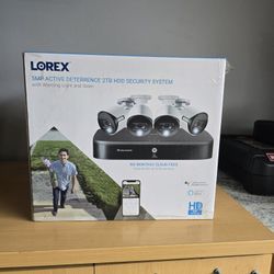 Security System
