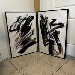 2 Canvas Framed…THE STENOGRAPHIC FORN I AND II…24x36…$155