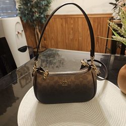 Coach Mini Crossbody 
