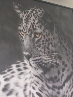 Canvas wall art