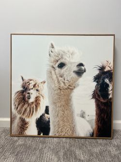 Llama Artwork