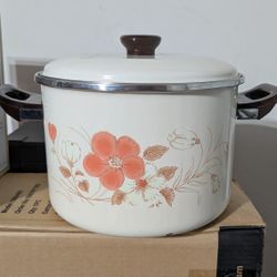 Painted Metal Cooking Pot 