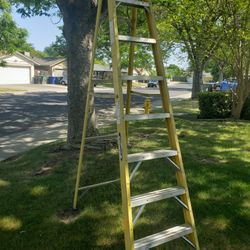 8 Foot Ladder 