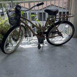 Bike Cruiser