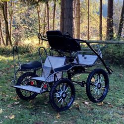 Horse Carriage
