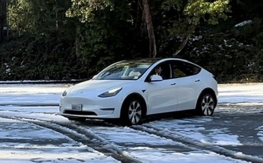2020 Tesla Y Long Range All Wheel Drive