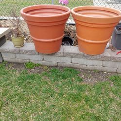 2 Plant Pots