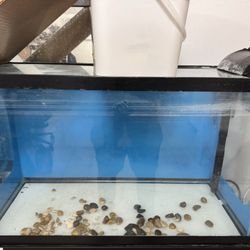 29gal Fish tank 30x12x18