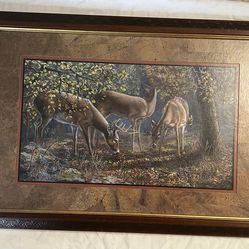 Framed picture home decor deer