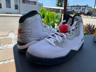 Nike air Jordan forty spike