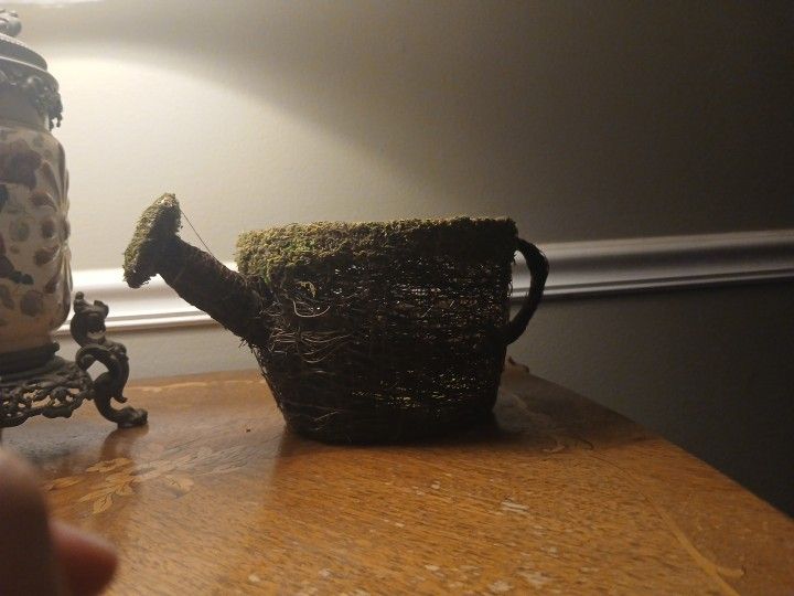 Green Moss Water Pitcher Plant Holder