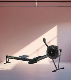 Concepts 2 RowErg Model D