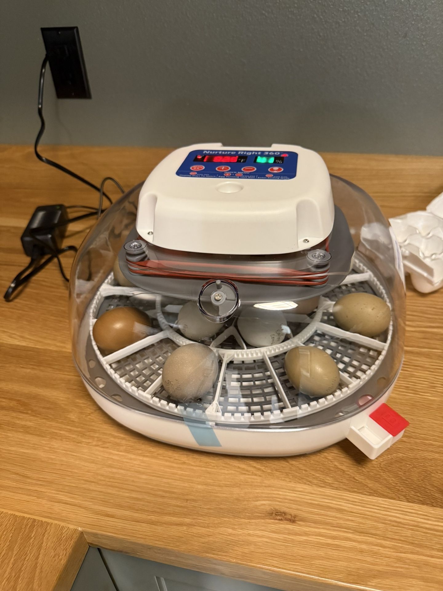 Harris Farms Nurture Right Egg Incubator