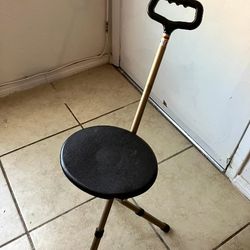 Chair Cane