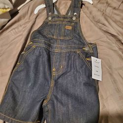 New Shorts Overall