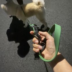 Dog Lead Leash for Miedum and Large Size 