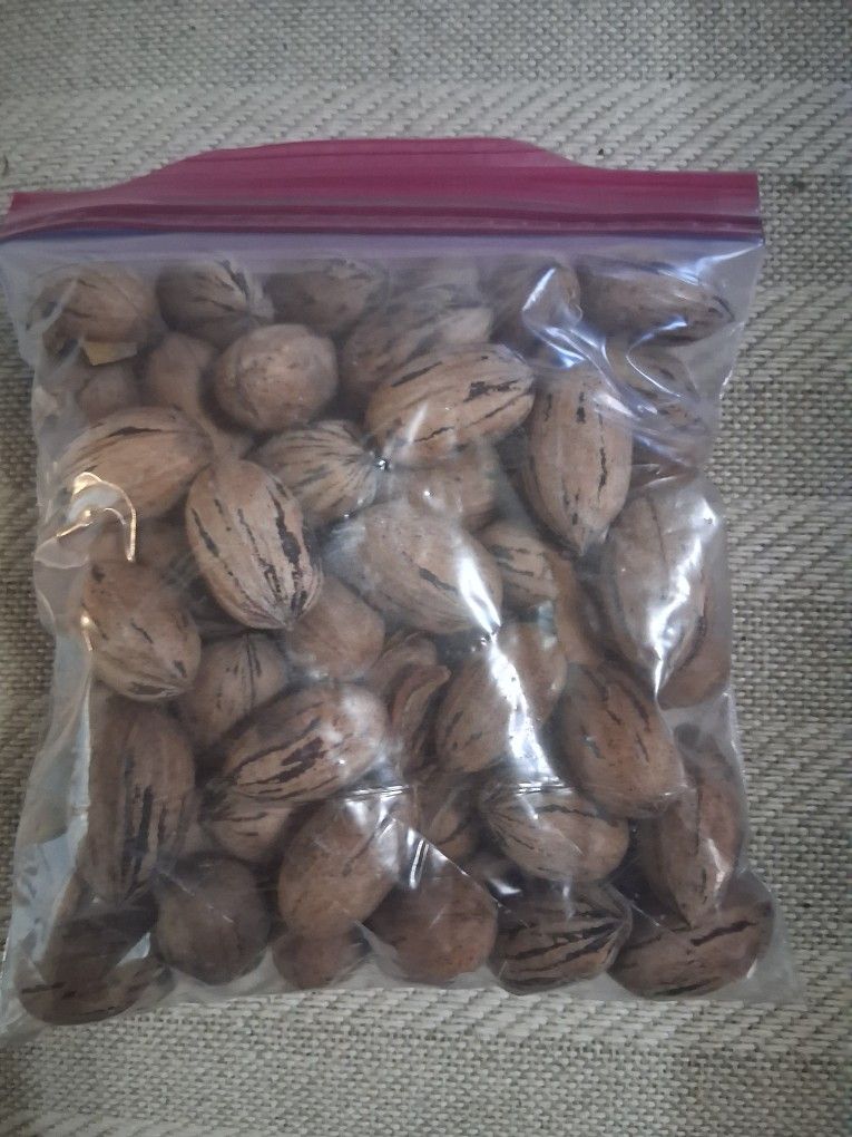 Fresh Pecans