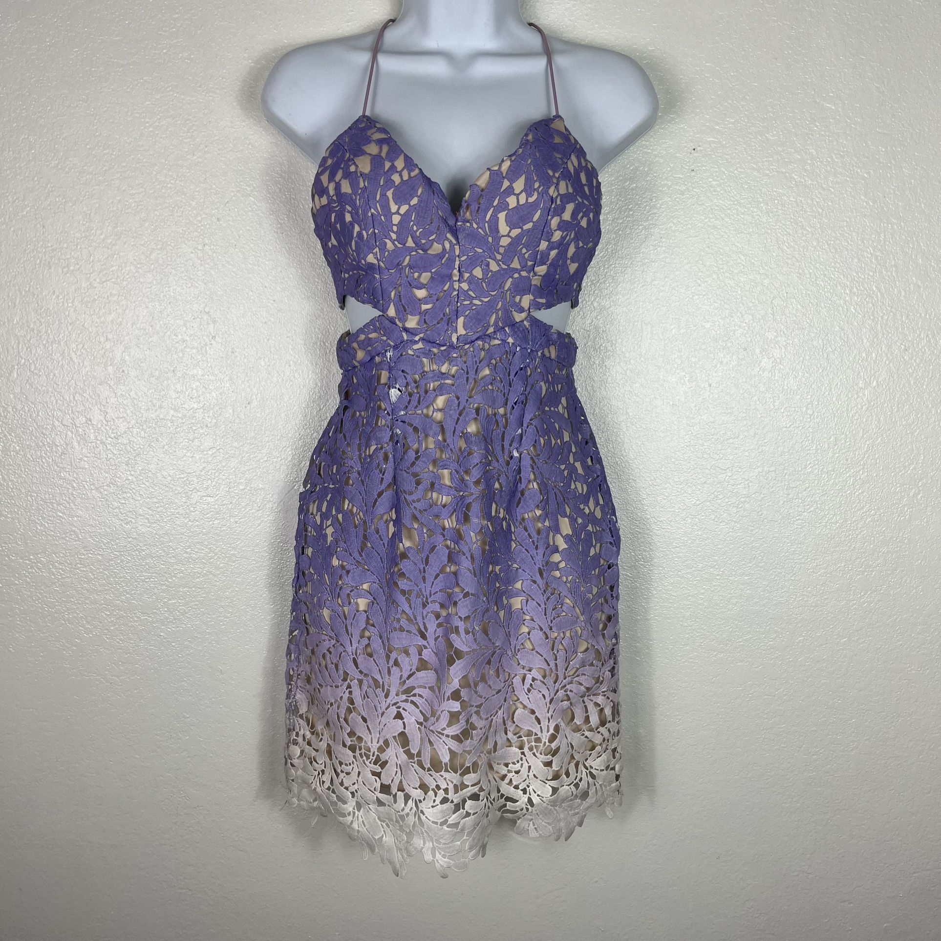 Hello Molly Purple Lace Ombré Mini Dress