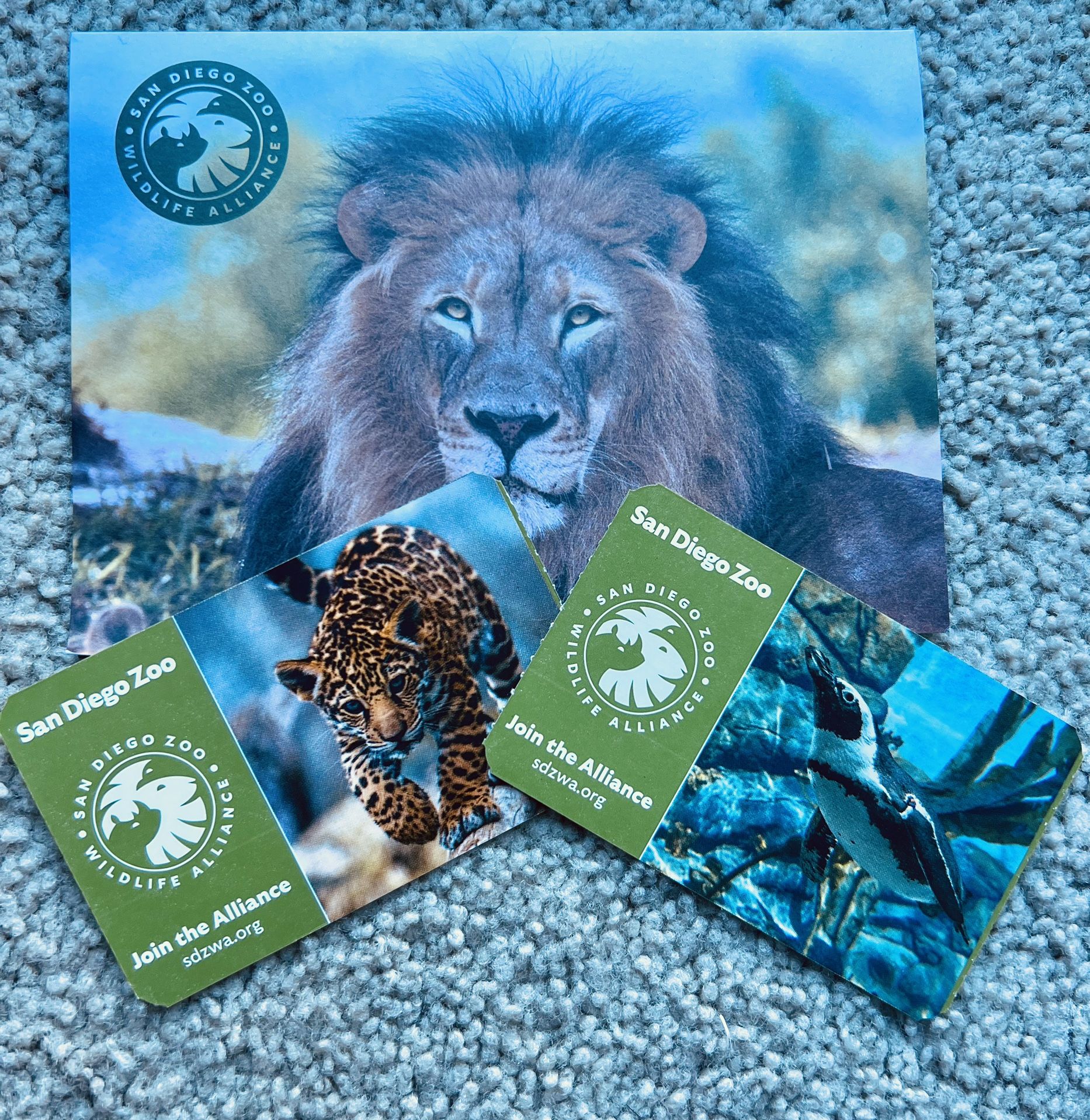 SD ZOO & Wild Animal Park π¦§π»ββοΈπ