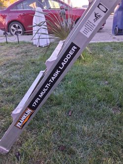 Franklin 17 ft ladder