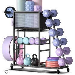 $100 MYYHINGLOGIC WEIGHT RACK 