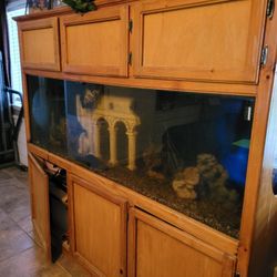 125gal Tank and Stand