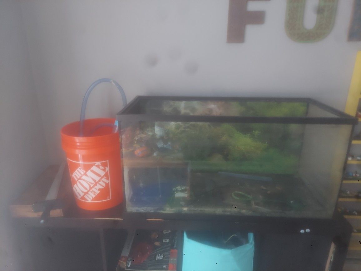 Aquarium
