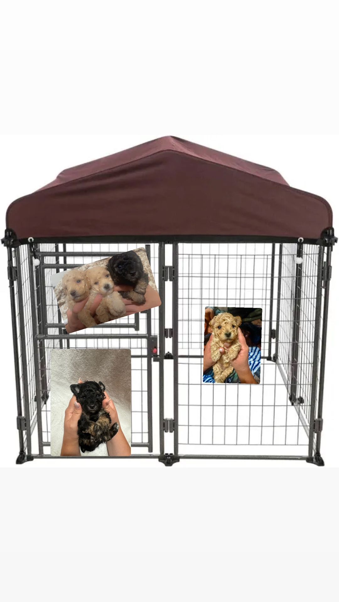 Toy Kennel