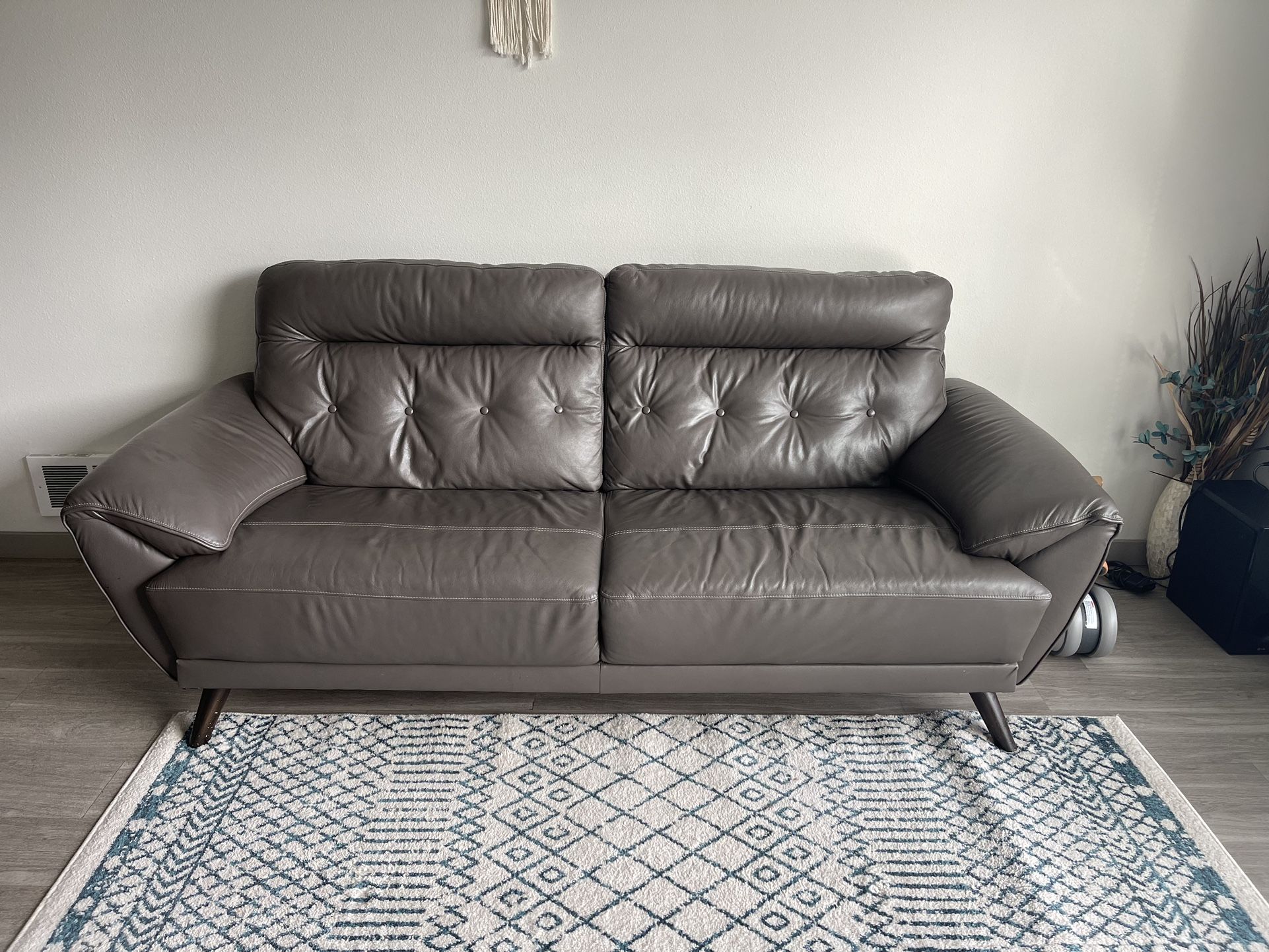 Leather Couch