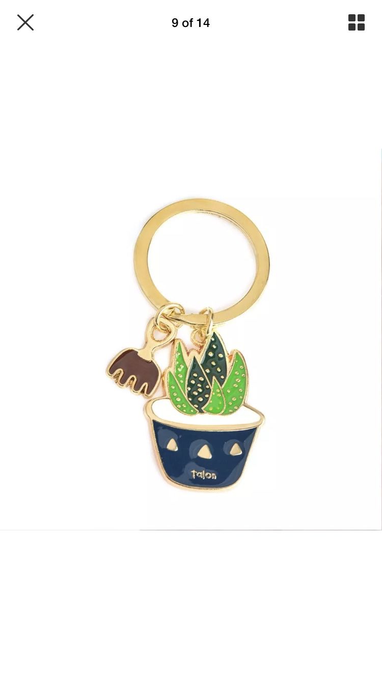 Cactus/succulent keychain
