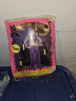 Teen Harem Girl Costume 