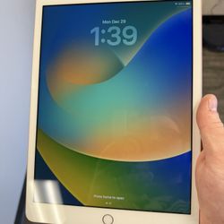 iPad 8 32gb Rose Gold WiFi 