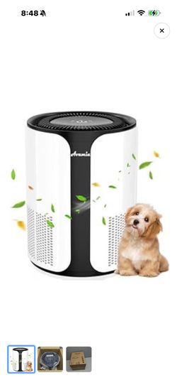Arabia Air Purifier