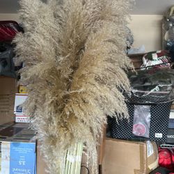 Pampas Secas