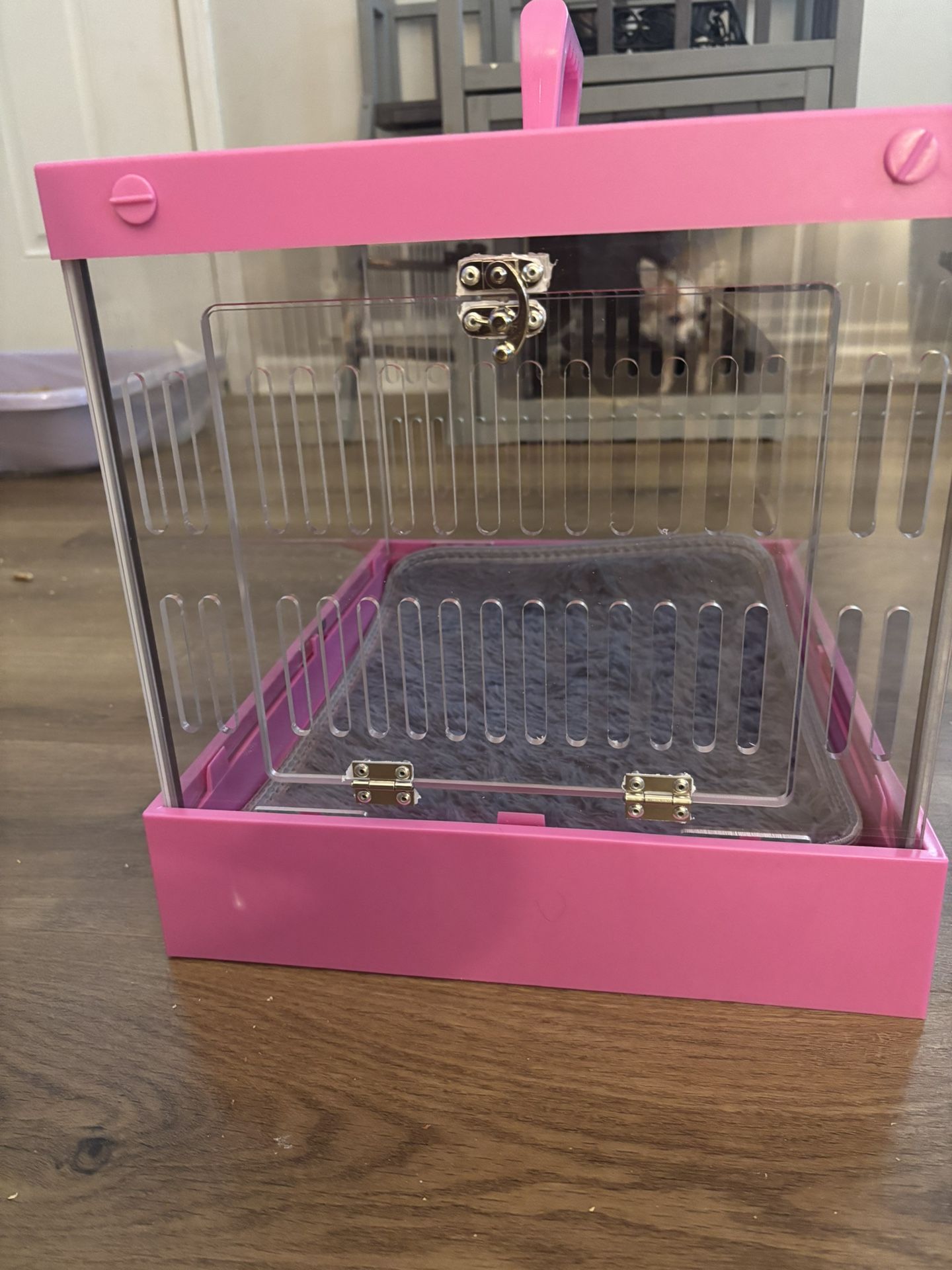 clear acrylic pet crate carrier pink