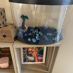 Fish Tank 