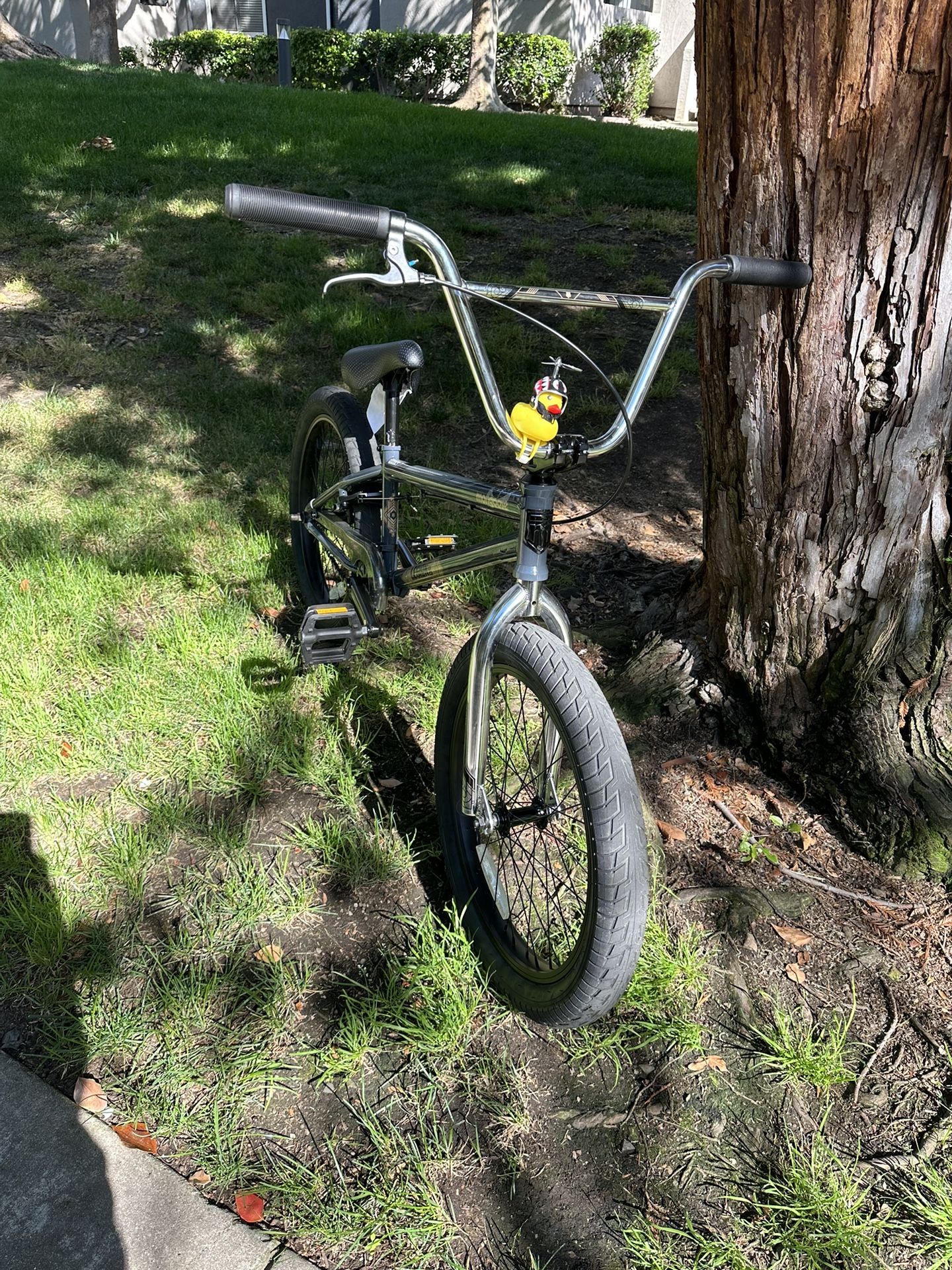 Bmx