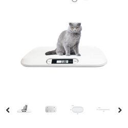 Pet Scale